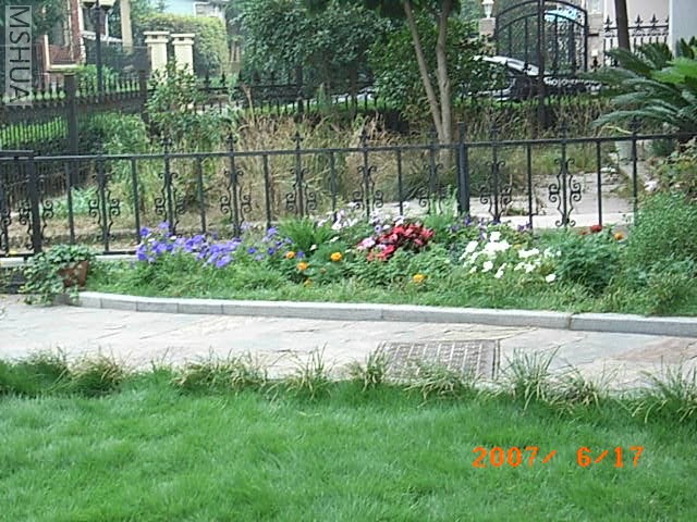 RIMG0012.JPG
