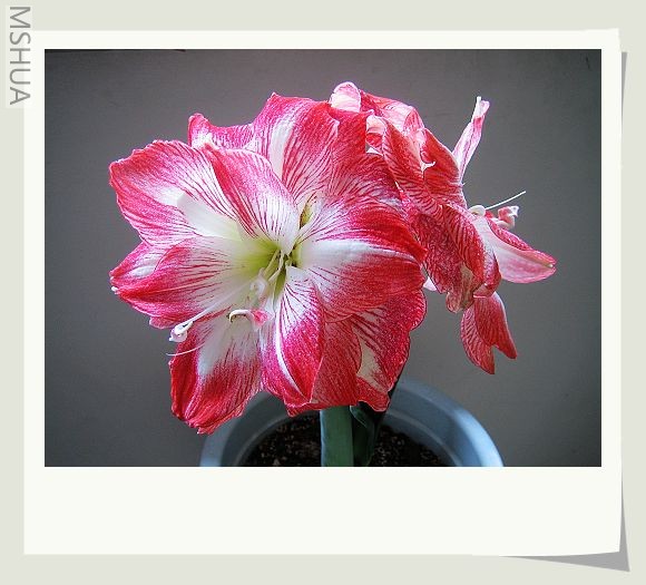 �����ȫ�ˣ��ָо����ǵ���