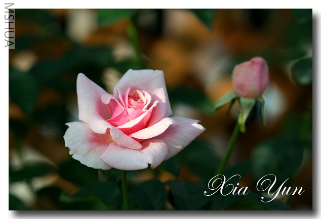 IMG_7437 ��������.jpg