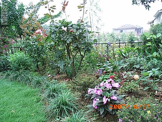 RIMG0018.JPG