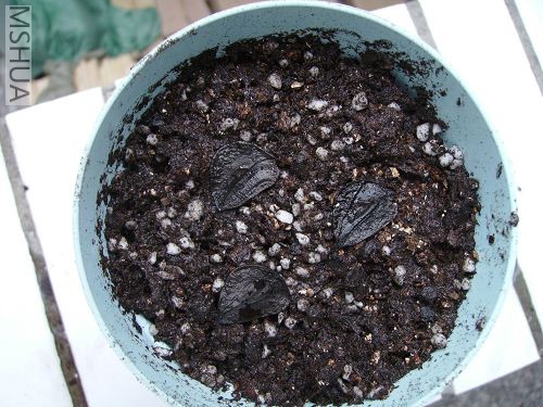 �������ݹ�������