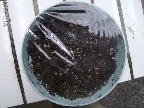 ���汣��Ĥ��ʪ