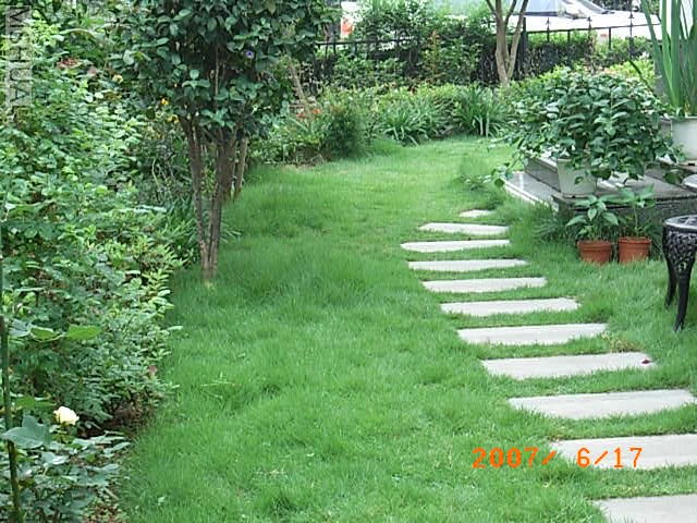 RIMG0011.JPG