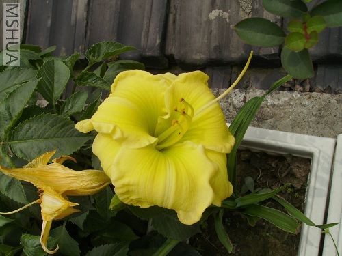 ������ݸ�ͷ���ܶ�