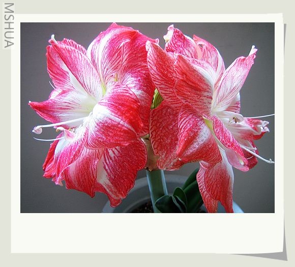 �������죬���궼�������