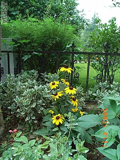 RIMG0006.JPG