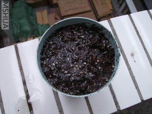 �Ȱ�����ʪ��