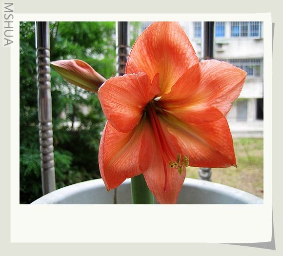 ����һ��