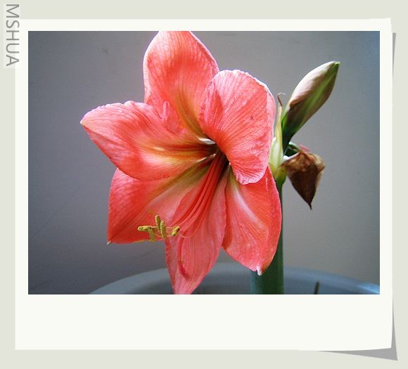 ��ϲ�������ɫ