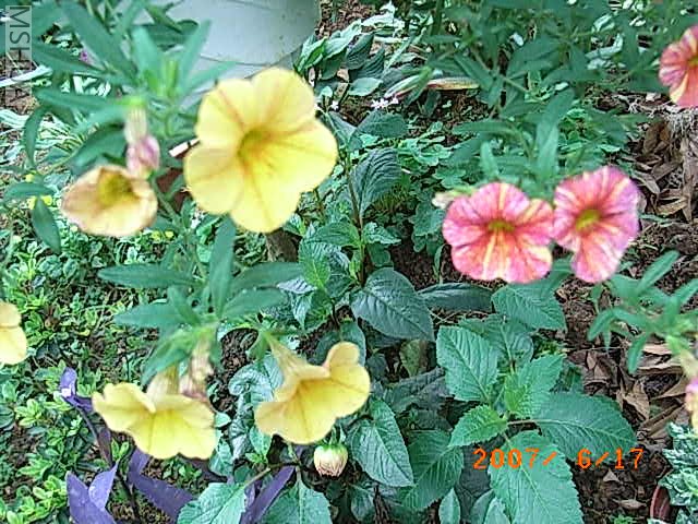 RIMG0020.JPG