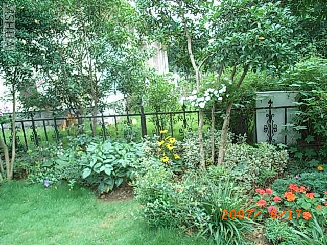 RIMG0005.JPG