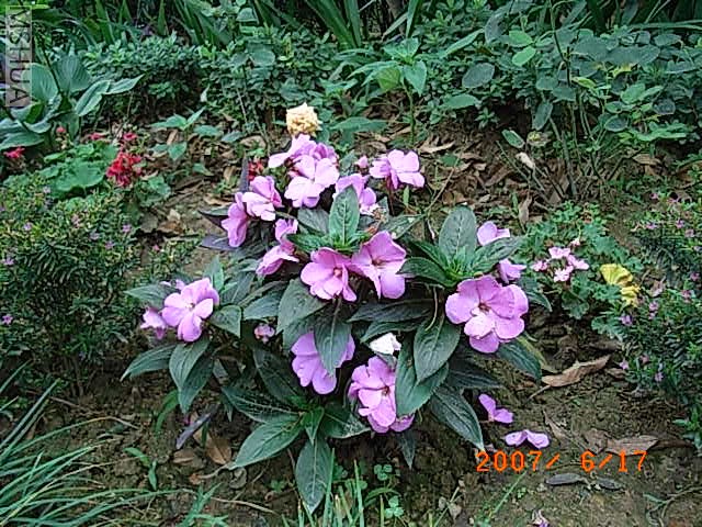 RIMG0017.JPG