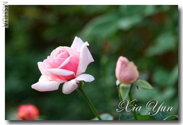 IMG_7413 ��������.jpg