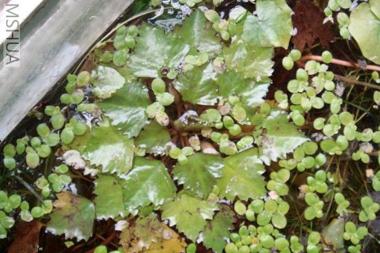 ���������Ǹ�һ����