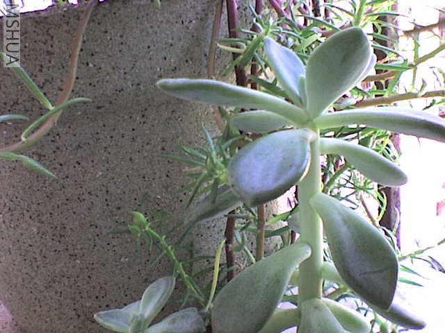 DSC00016.JPG