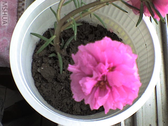 DSC00074.JPG