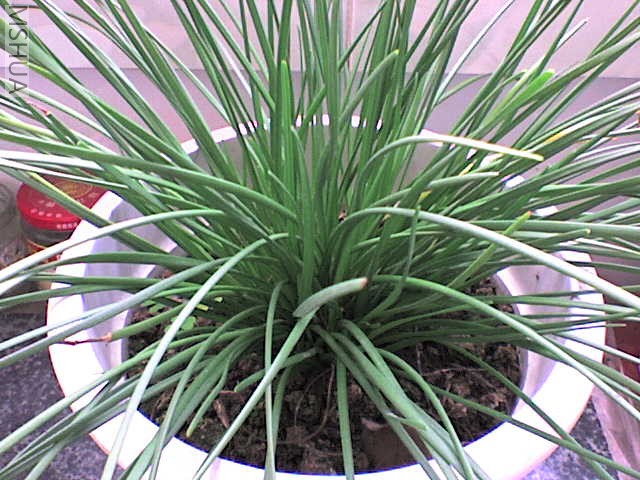 DSC00009.JPG