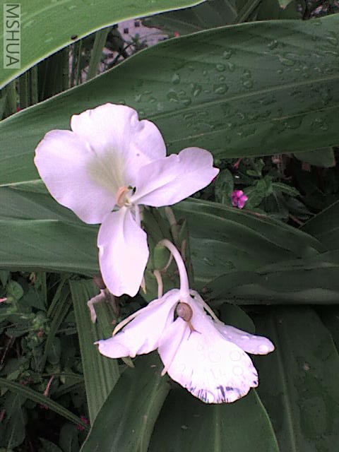DSC00067.JPG