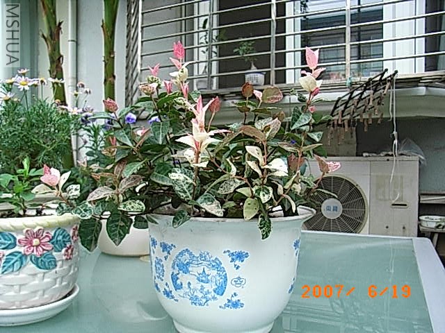 RIMG0018.JPG