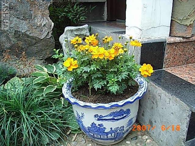 RIMG0025.JPG