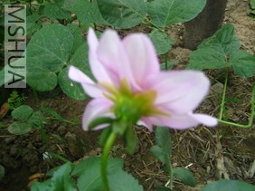 ��Ƭ18 008_��С��С.jpg