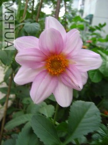 ��Ƭ18 018_��С��С.jpg