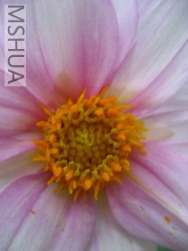 ��Ƭ18 009_��С��С.jpg