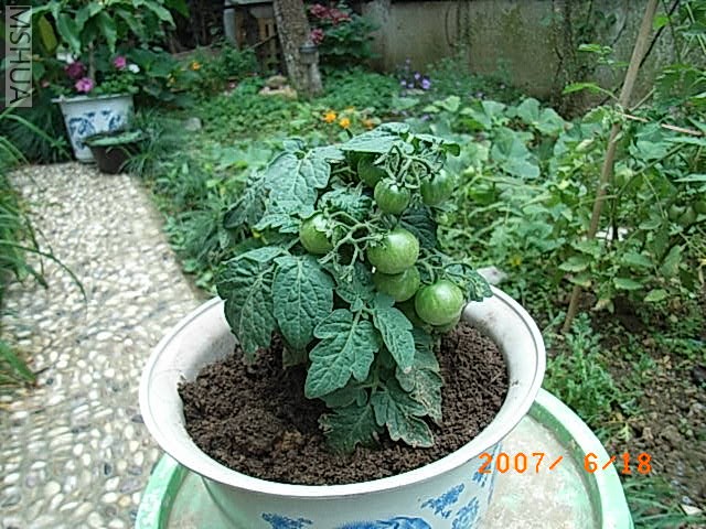 RIMG0032.JPG