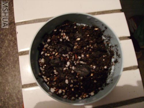 �ĵú��˵㣬��֪����ҿ���������