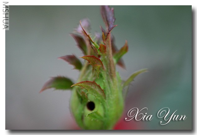 IMG_7543 ��������.jpg