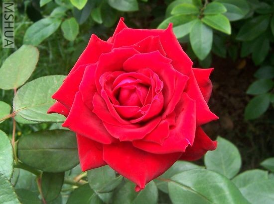 2007-06-21 001.jpg