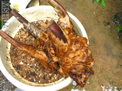 û��ûҶ��֪�ܷ��Ի�?