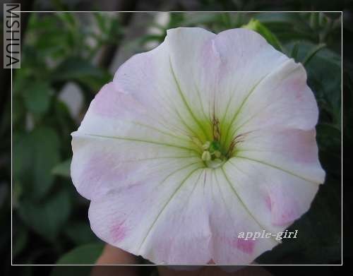 ���˱��Ƿ�..