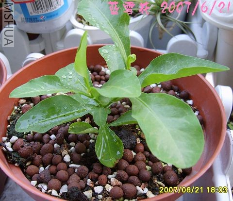 2��ժ�ĵ��ϴ�