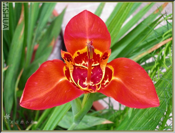 9b����.jpg