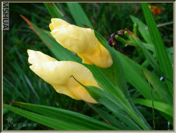 10b����.jpg