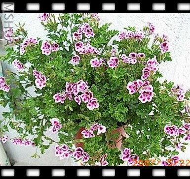 ��Ƭ 041_nEO_IMG.jpg