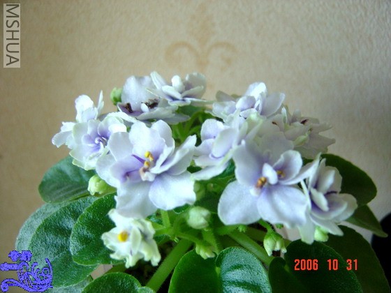 ������ǰ���ĵڶ��ο���