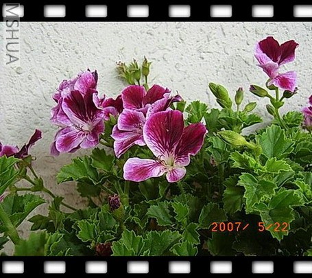 ��Ƭ 038_nEO_IMG.jpg