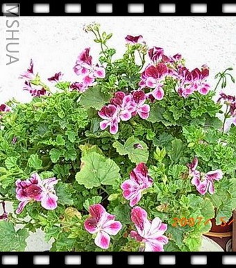 ��Ƭ 035_nEO_IMG.jpg