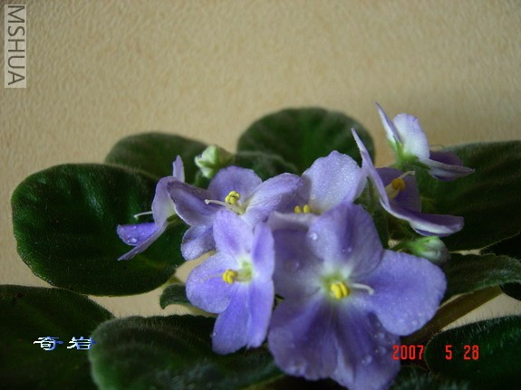 Z-3-ѩ��N.jpg