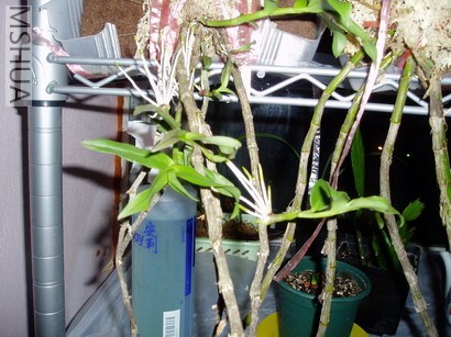 P1012070_resize.JPG