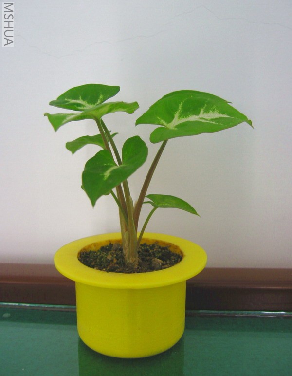 ���� 070620 010.jpg