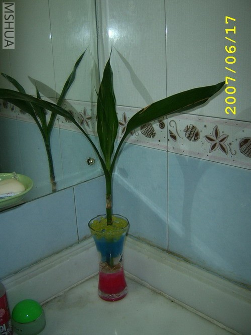 ������ģ�����ˮ���໹ͦ�ÿ���