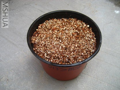 ��Ƭ0624 009_��С��С.jpg