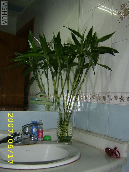 ��������ϲ�������ӣ����׻20��ͳ�����