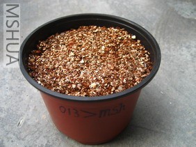 ��Ƭ0624 008_��С��С.jpg