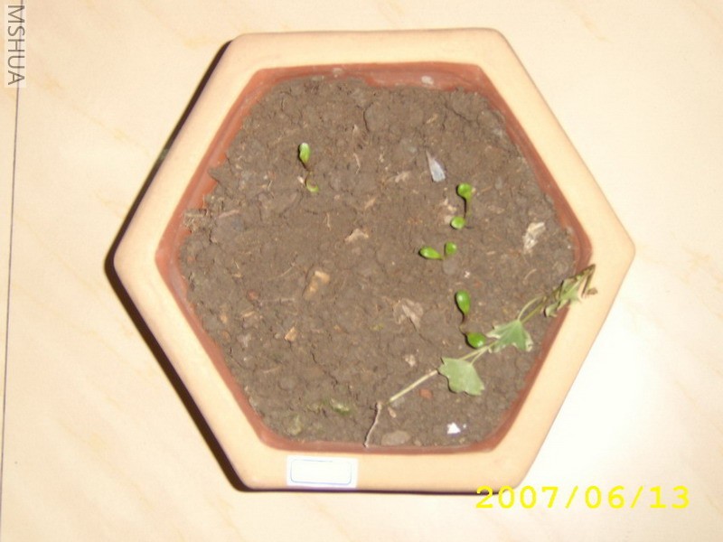 2�ܵĴ�С�͸շ�ѿû����