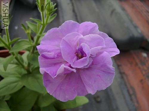 ��������������ͬһ���Ͽ���