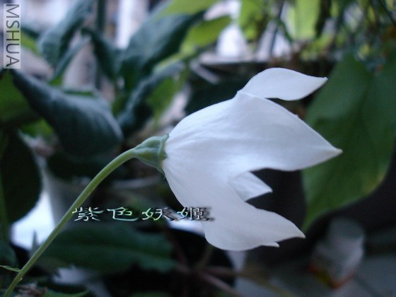 �۹����ף�-1_resize.jpg